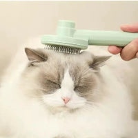 Glida brush bristle head close-up